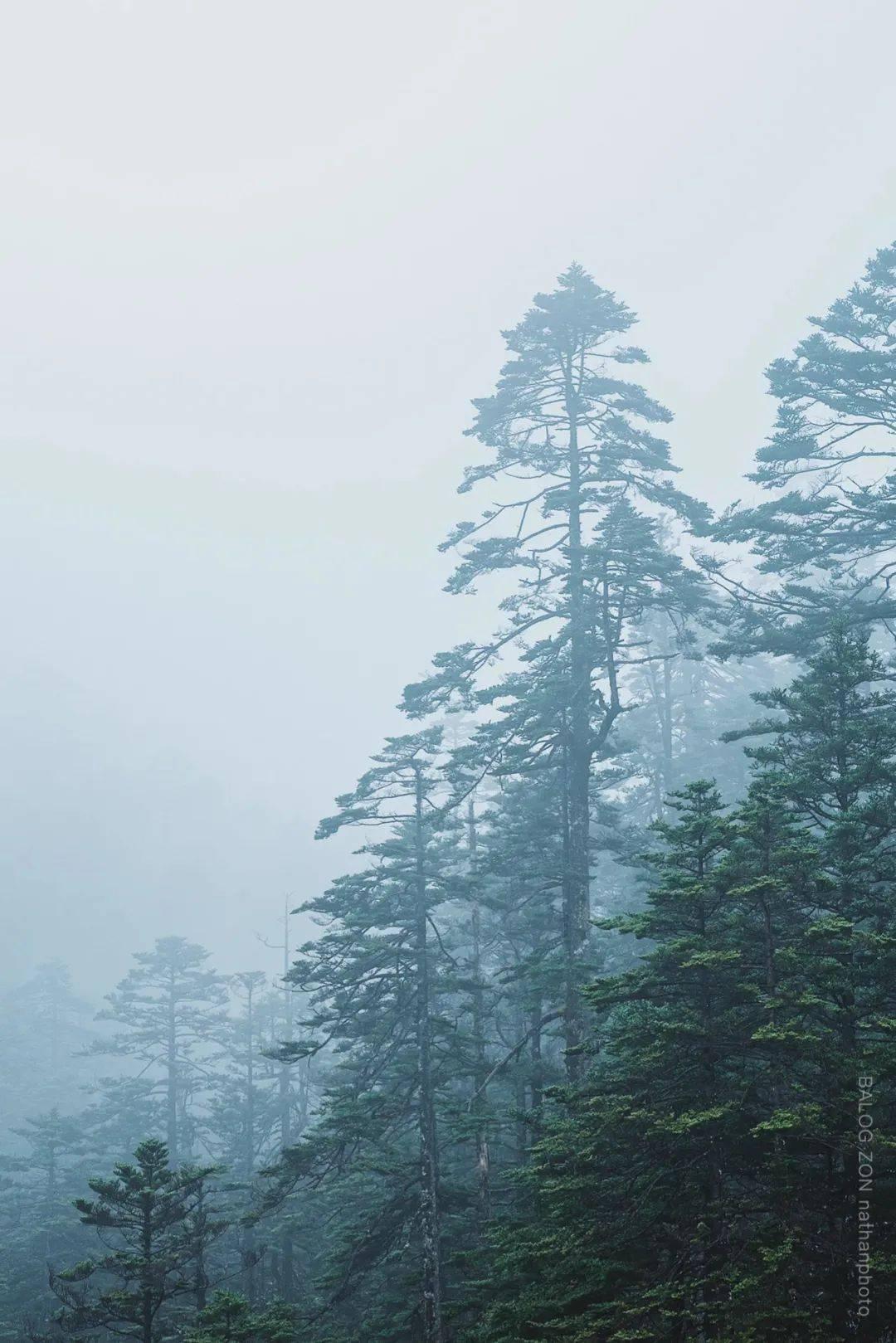 海岛大亨3